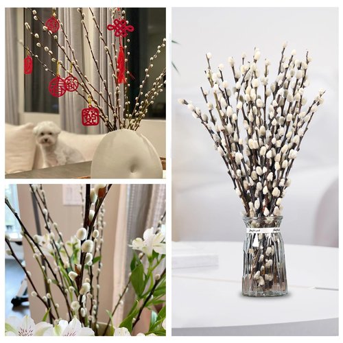 Natural Preserved Dried PussyWillow Branches for Vases, 15 Stems Real Willows, 17" Snow Pussywillows, Dried Flowers for Indoor and Outdoor Decor, Wedding Home DIY Floral Art Plants Fireplace