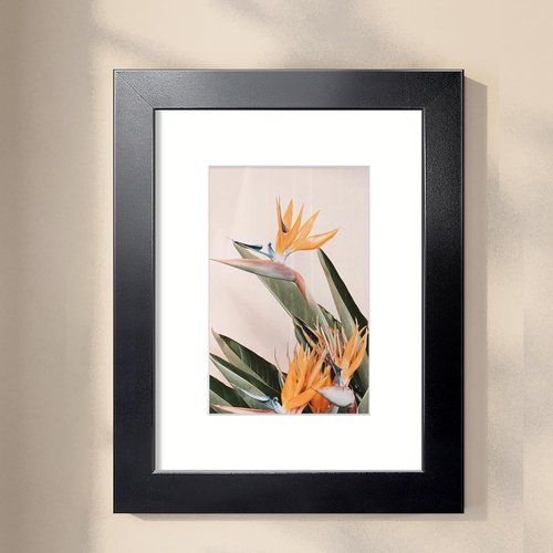 LaVie Home 8x10 Picture Frame - Sturdy Black Frame with Polished Plexiglass | Display 5x7 or 8x10 Photos