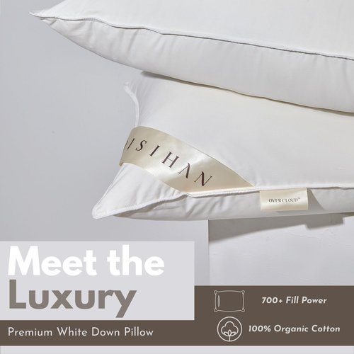 baisihan Premium Goose Down Pillows Standard Size - 700+ Fill Power, Down Pillow for Stomach Sleeper, 100% Cotton 500 TC Cover Down Pillow Standard Size Plush Pillow 1 Pack 20"x26"