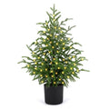 ENVEN 2FT Artificial Norfolk Pine Christmas Tree – Tabletop Faux Tree Unlit/Prelit with 50 LED Lights & 8-Function Battery Box, Pre-Assembled Holiday Decor for Home or Office (Prelit-2FT-1Pack)
