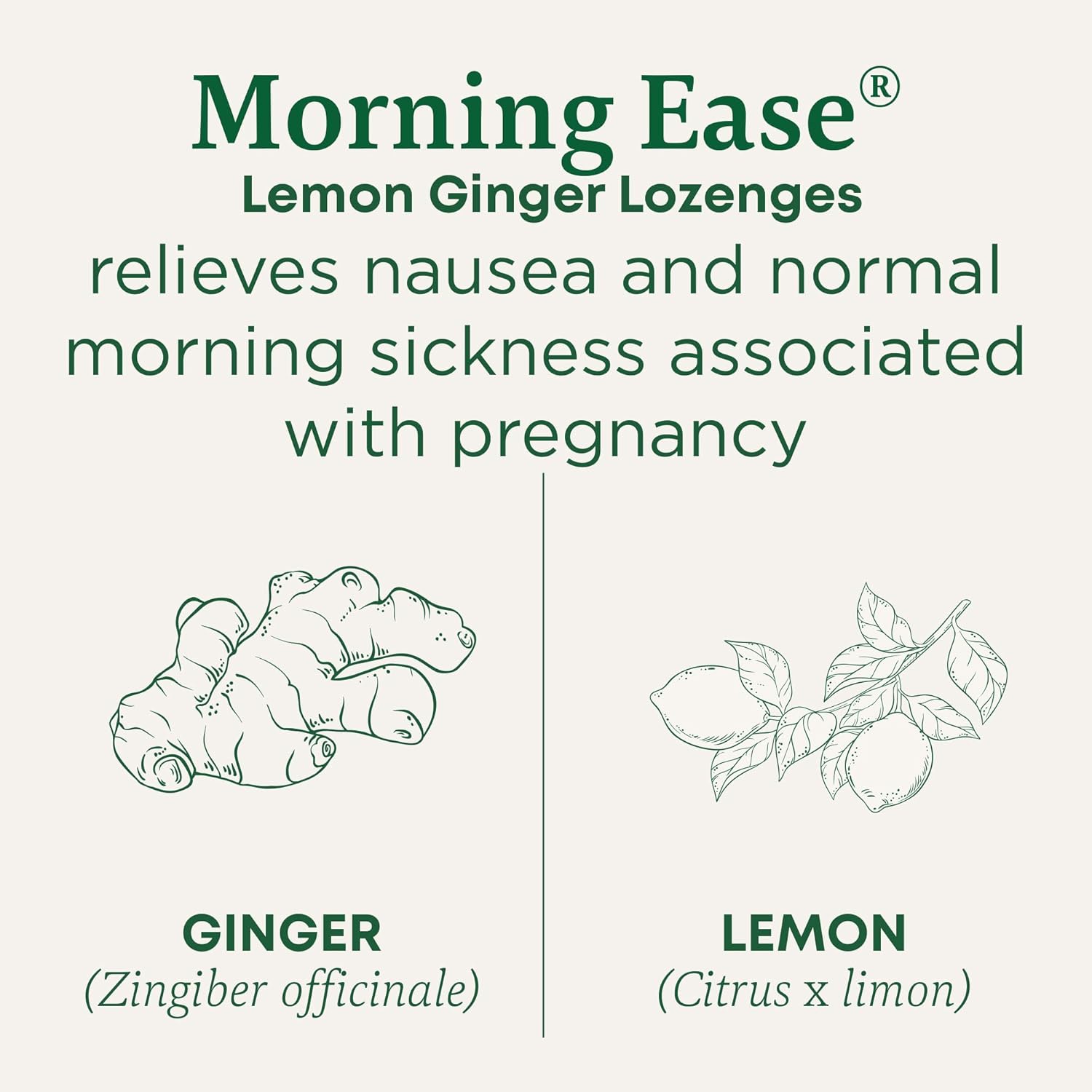 Traditional Medicinals Organic Morning Ease Lozenges - Lemon Ginger for Pregnancy Nausea Relief | 30 Wrapped Lozenges