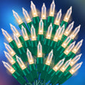 Skiennix Ultra-Bright Warm White Christmas Mini Lights - 100 LED | 19.6 Ft Indoor/Outdoor String Light Set