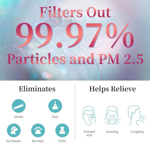 4 Packs F2 A2 Replacement Filters Compatible with 3M Filtrete Room Air Purifi-er Models FAP-C02WA-G2 FAP-C03BA-G2 FAP-T03BA-G2 FAP-SC02N FAP-SC02W FAP-C02-A2 FAP-C03-A2 FAP-T03-A2