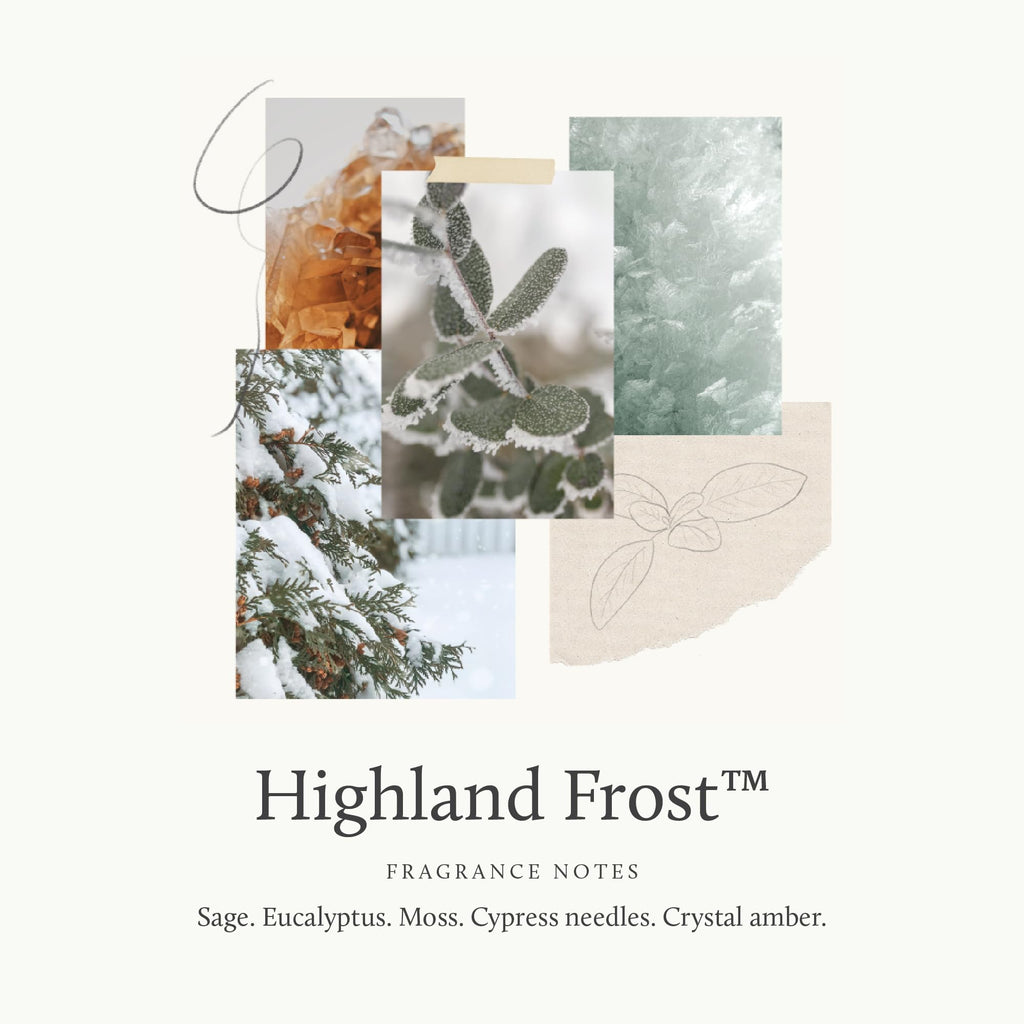 Thymes Highland Frost Large 3 Wick Candle - Scented Candles with Crisp Notes of Sage, Eucalyptus, & Cypress Needles - Luxury Home Fragrance Gifts for Women & Men - Sage-Green (18 oz)