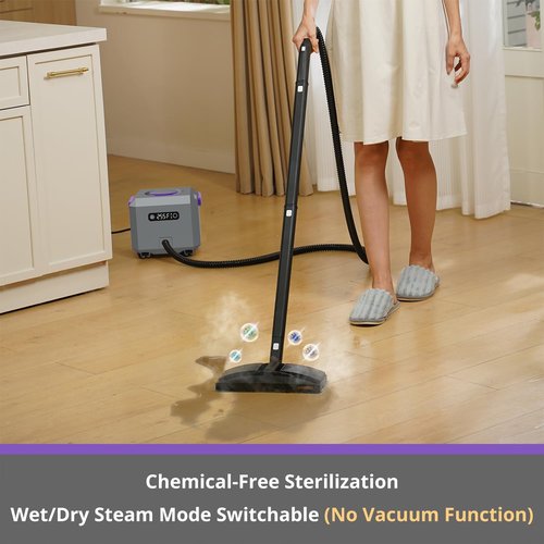 Canister Steam Cleaner - 50-Second Heat-Up, 0.6 Gal Tank, 1650W Power | 21-Piece Kit for Versatile Cleaning