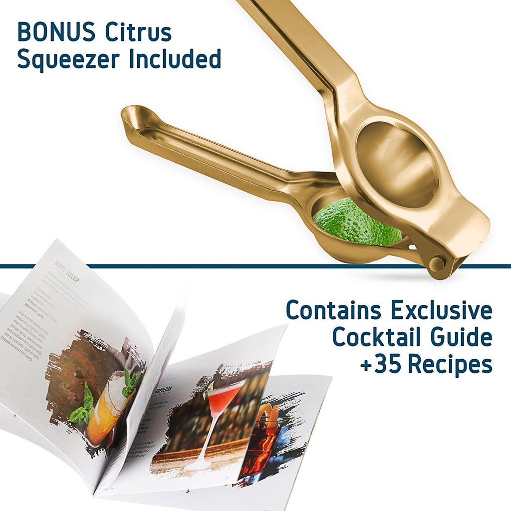 Skiennix 16-Piece Cocktail Shaker Set - Premium Stainless Steel Mixology Kit | Gold Bar Tools & Recipe Book