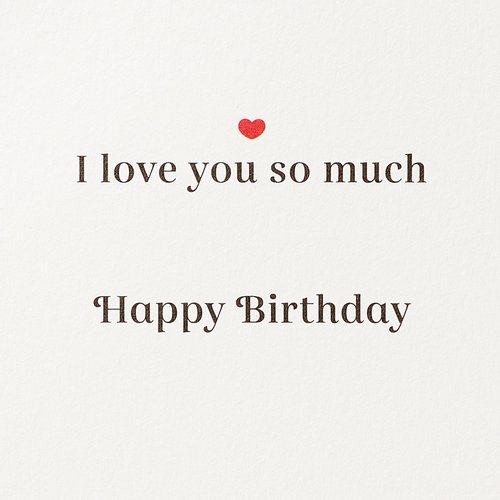 Papyrus Birthday Card for Husband (I Love You So Much)