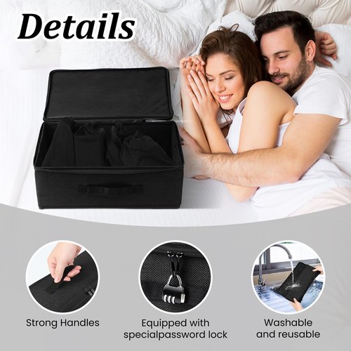JINXOLET Discreet Lockable Storage Toy Bag Box Organizer Container Case 15x 9.9 x 5.1 Inches (Black)
