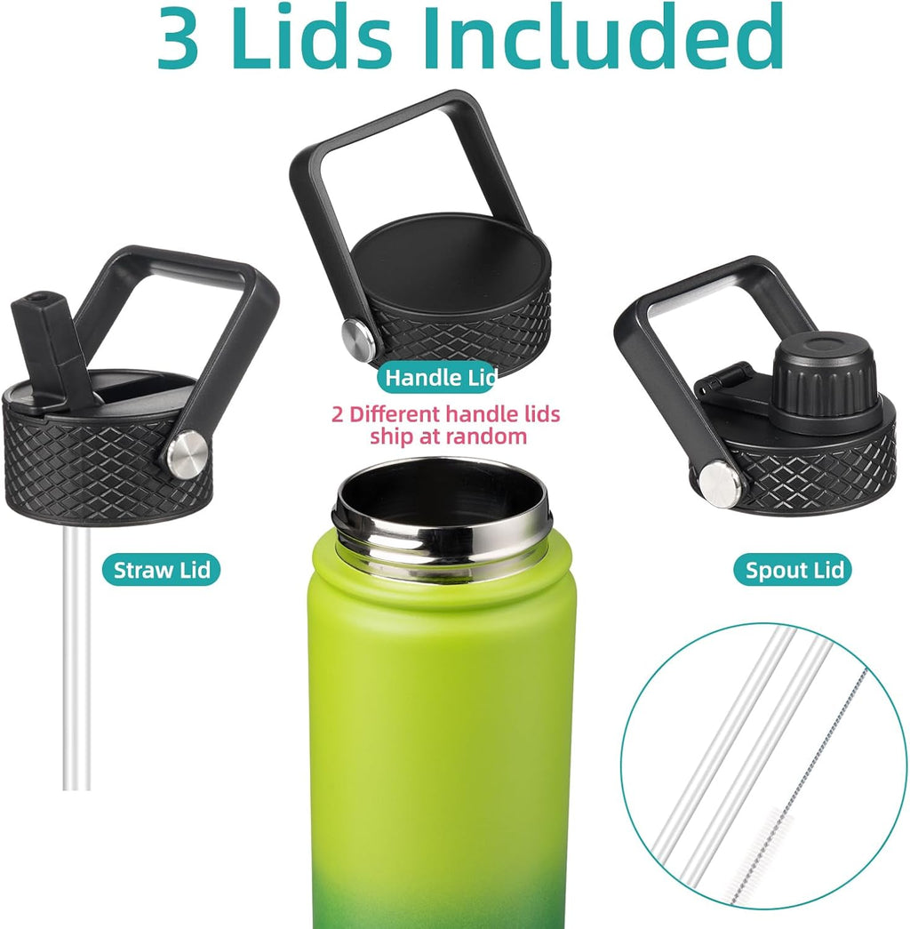 Skiennix 22oz Stainless Steel Water Bottle - Insulated with 3 Lids | Bamboo Grove Design