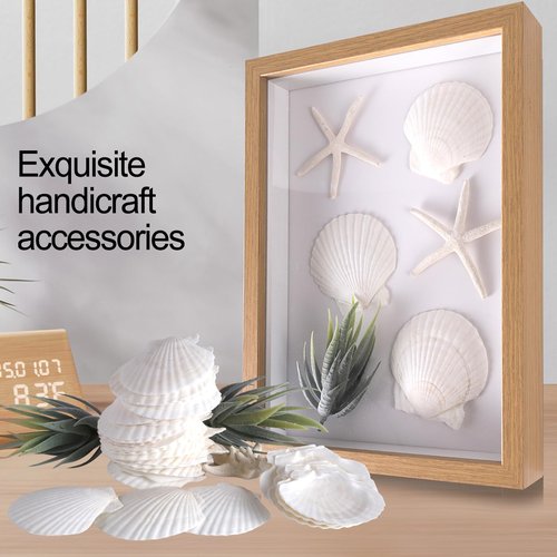30 PCS 3 Inch Natural White Scallop Shells Sea Shells for DIY Craft Home Décor