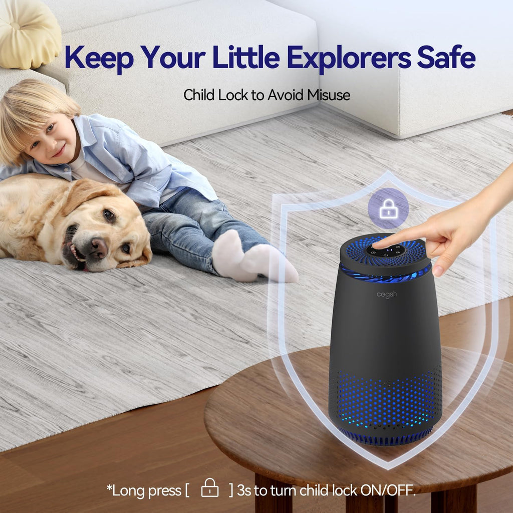 Skiennix Air Purifier - 3-in-1 HEPA Filter for Pets, Dust & Odors | Quiet Operation, Black