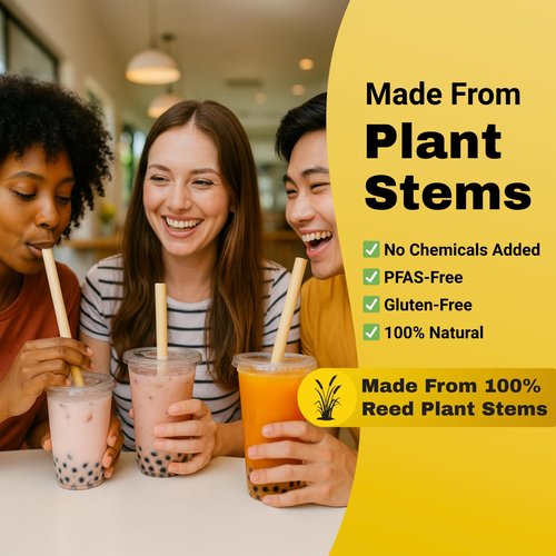 HAY! STRAWS Reed Boba Straws 500PCS | 12mm Extra Wide Natural Plant Stem | Never Soggy PFAS-Free Biodegradable | Ocean-Friendly for Bubble Tea Smoothies