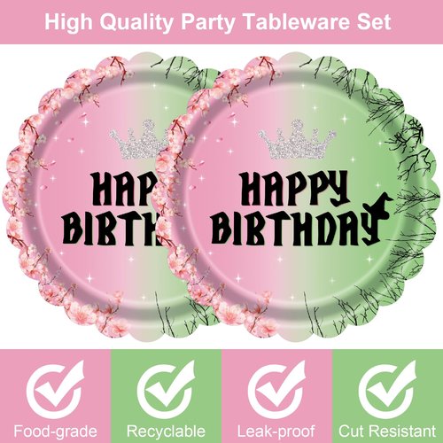 Cangmyxis 7 Inch Halloween Witch Birthday Plates 40 Count Disposable Pink & Green Themed Party Plates, for Wicked Party Decorations, Supplies, and Witch Themed Birthday Party Favors