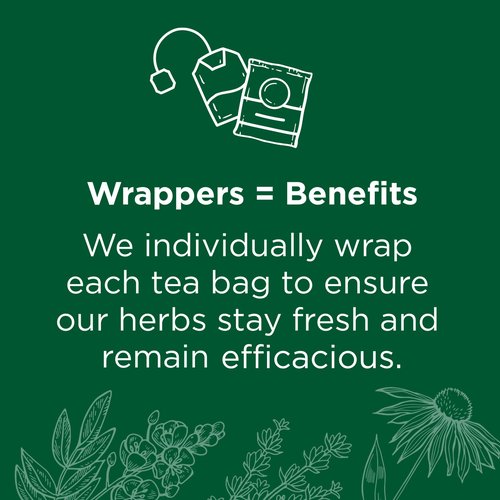 Traditional Medicinals Tea, Organic Spearmint, Supports Everyday Wellness, Healthy & Refreshing - 48 Tea Bags