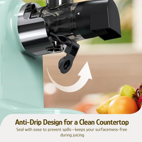 Hazel Quinn Masticating Juicer - Cold Press Slow Juicer for Fruits and Vegetables, BPA-Free Juice Extractor, Easy to Clean, 2-Speed Control, Reverse Function, Quiet Operation, Dishwasher Safe