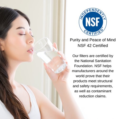 PureT HQCBC-20BB-5, 20x4.5" Coconut Carbon Block Filter - NSF Certified - Cononut Shell Activated Carbon removes Chlorine, Dirt and More (5 u Micron Rated)
