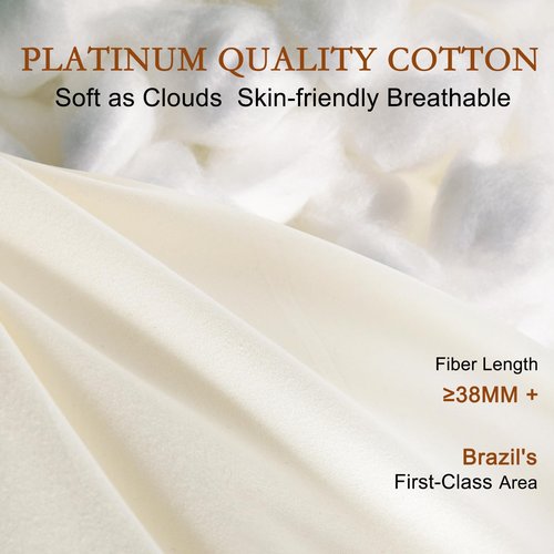 YOUR MOON Organic Wool Pillow Queen Size Set of 2, Natural Wool & Down Alternative Filling, Luxury Hotel Quality Pillows, Soft Support Bed Pillows for Sleeping, 100% Cotton Cover (Off White)