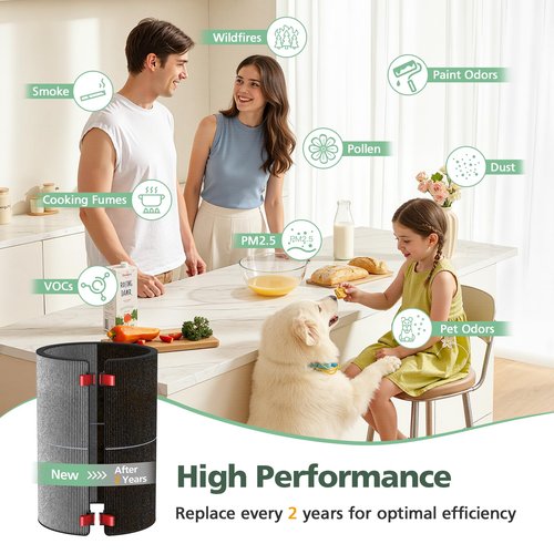 BP03 BP04 BP06 Activated Carbon Filter Compatible with Dyson Purifier Big + Quiet, For Models BP03, BP04, BP06, High-Efficient Carbon Filter for Smoke, Pet Odors, Wildfire, VOCs, Park# 972133-02/03