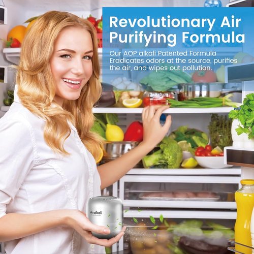 Fridge Deodorizer | 10-Year Lasting Odor Eliminator Kit - Chemical-Free, Effective for Kitchen & Car - Silver