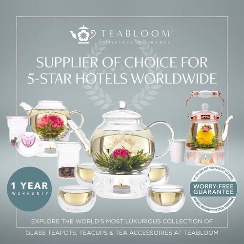 Teabloom Double Walled Mugs - 12 oz / 350 ml – Set of 4 Insulated Glass Mugs for Tea, Coffee, and More – Clear Bliss Collection
