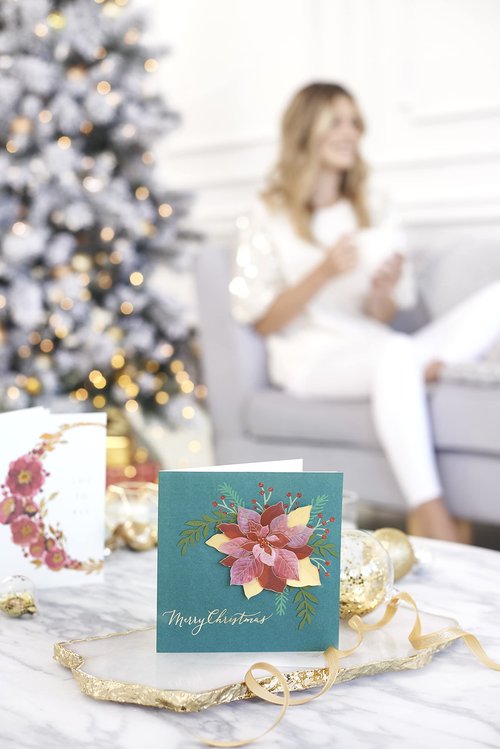 Papyrus Elegant Christmas Card with Red Poinsettia, Perfect for Anyone (Wonderful Holiday)