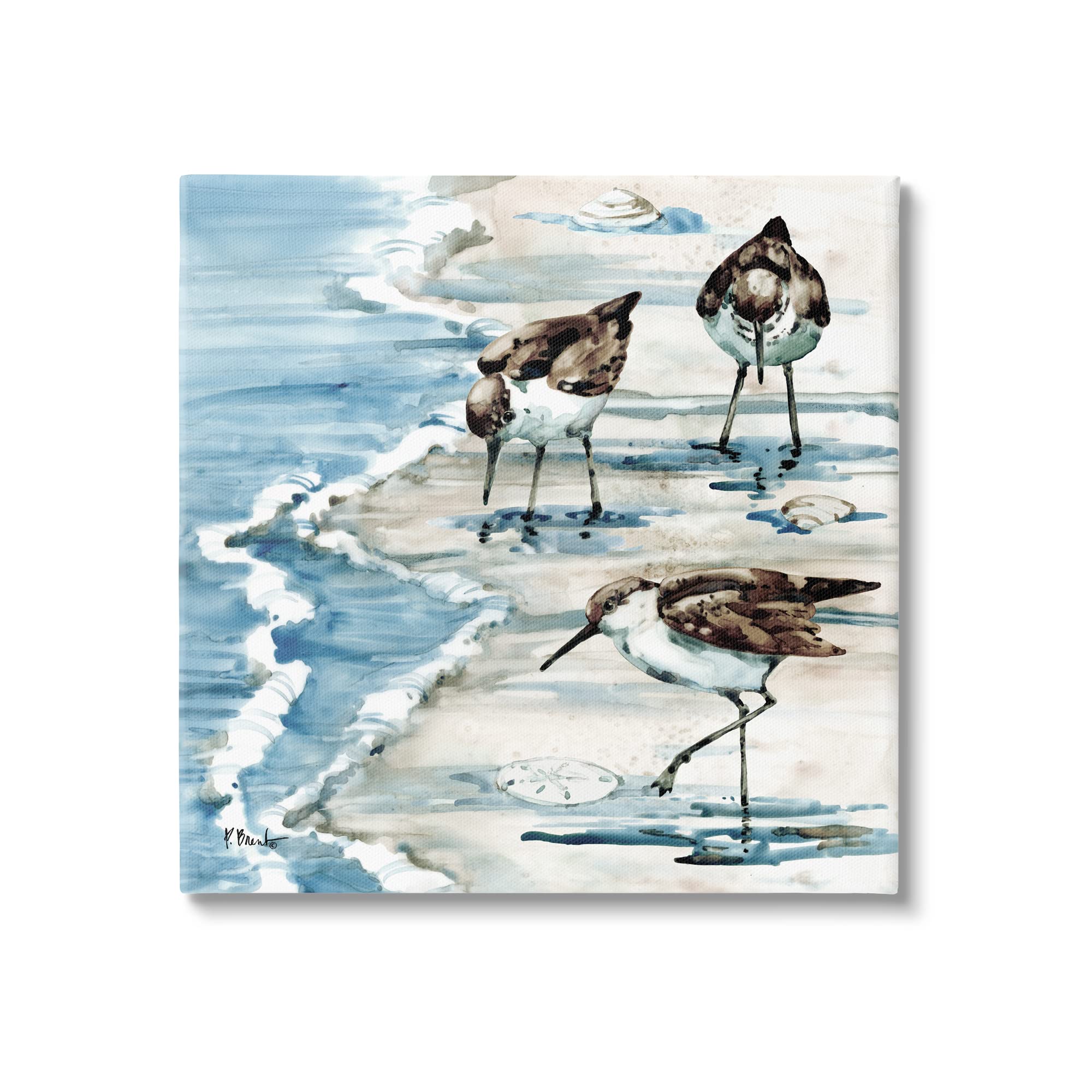 Stupell Industries Rockhampton Sandpipers Beach Grazing Canvas Wall Art, Design by Paul Brent