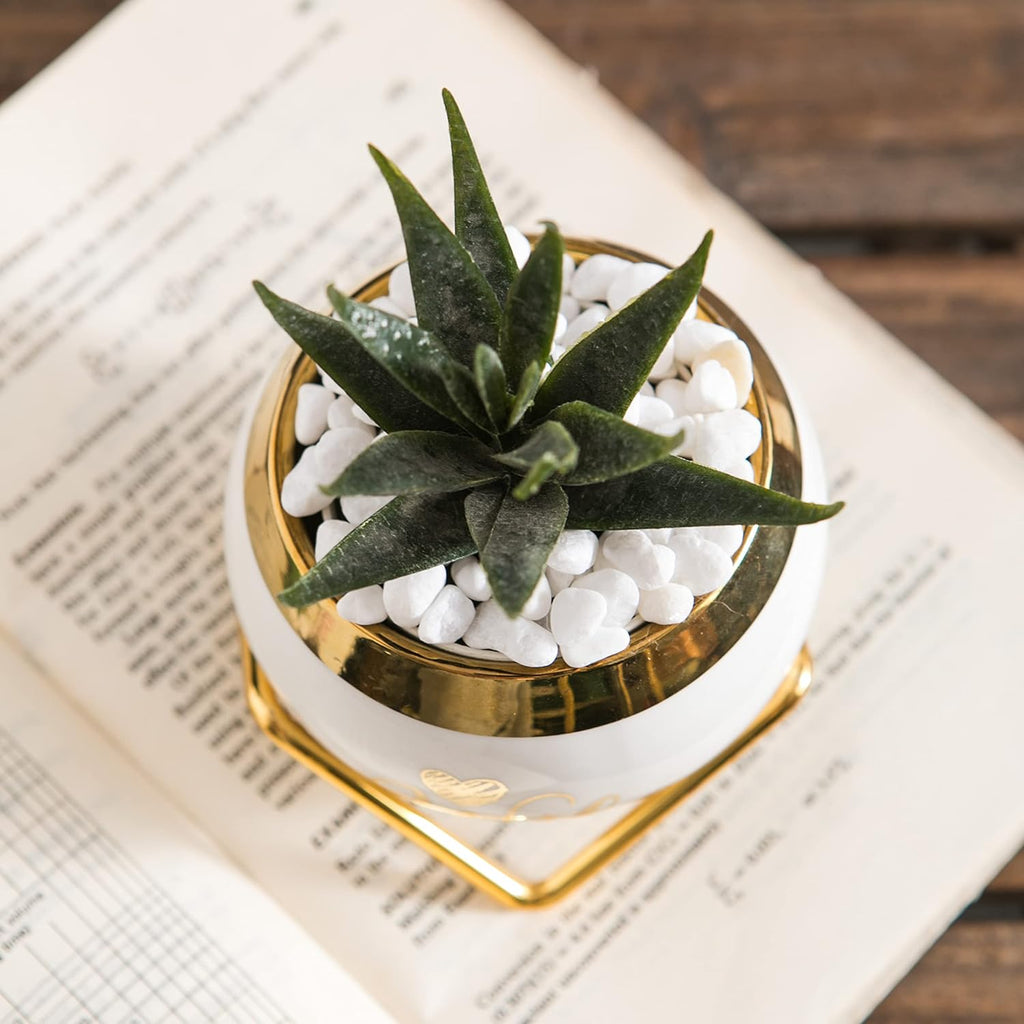 PeraBella 3-Piece Succulent Planter Set - Perfect Romantic Gift for Her | Home Decor for Any Occasion