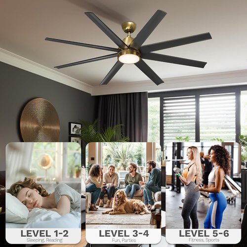 DWVO 65 Inch Ceiling Fans with Light and Remote, 8 Blade Large Ceiling Fan with Quiet Reversible DC Motor, 6-Speed, Dimmable 3 Color Temperatures, Memory Function for Living Room, Dining Room, Bedroom