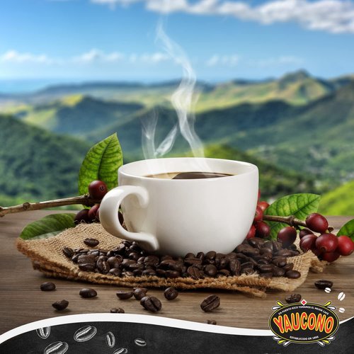Yaucono Decaf Ground Coffee 8.8 Ounce Canister (Pack of 1)