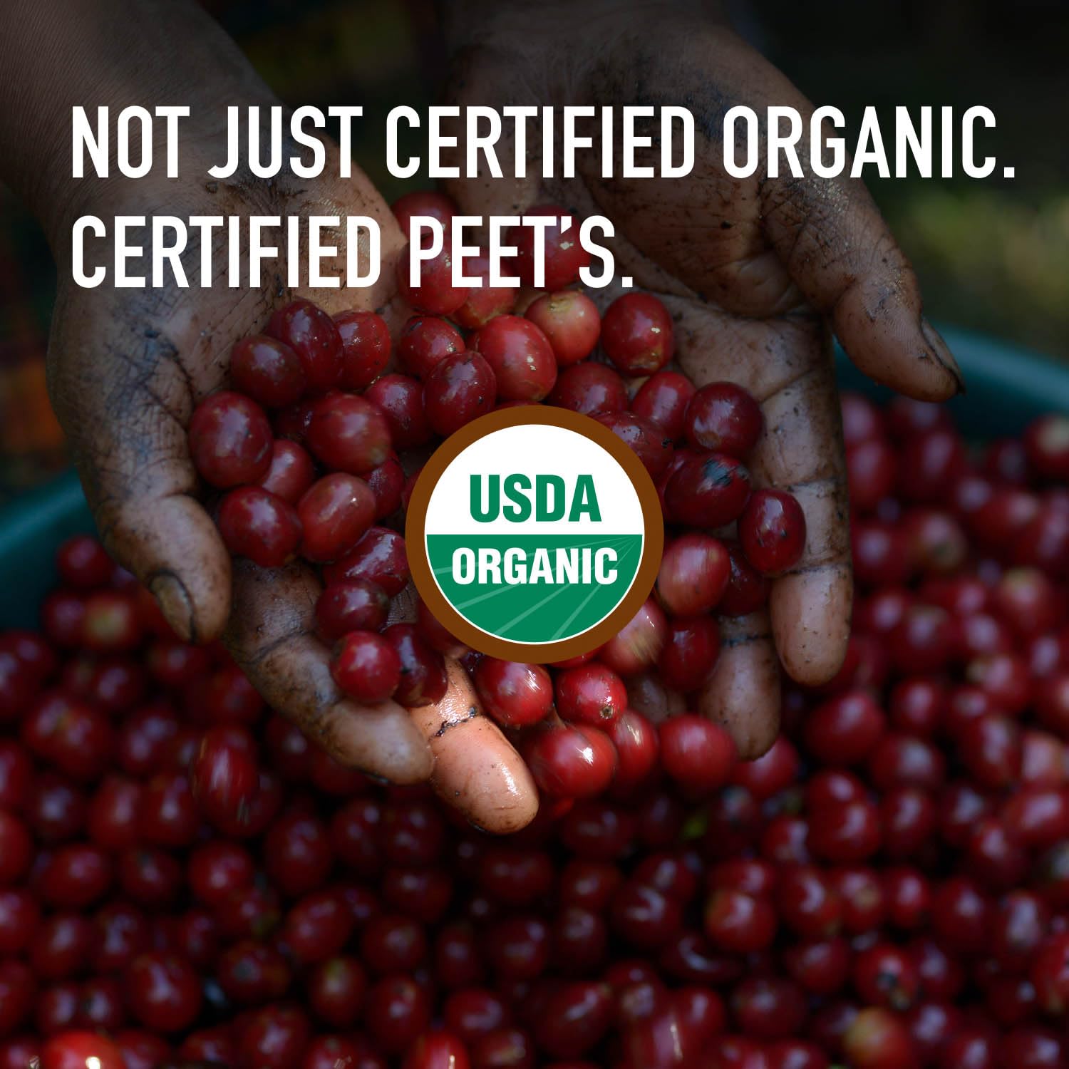Peet's Coffee USDA Organic Dark Roast Ground Coffee - 100% Arabica French Roast, 18 Ounce Bag