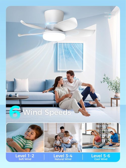 LANMEL 25 Inch White Flush Mount Ceiling Fan with Light and Remote, Low Profile Modern Ceiling Fan, 6 Speed, Reversible, 3000k-6500k Dimmable LED, Quiet DC Motor for Indoor Outdoor
