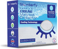Slumberfy Queen Size Waterproof Cooling Mattress Protector - Premium Skin-Safe Cover with ArcticTex Technology | Noiseless Quilted Design – 60x80 in.