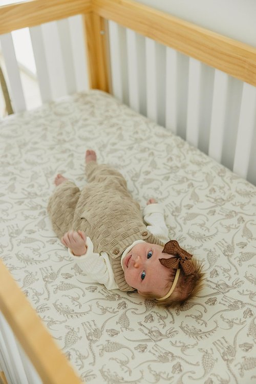 Copper Pearl Premium Knit Baby Crib Sheets for Boys and Girls : Breathable and Soft, Fitted Crib Sheets for Standard Baby Mattresses, Crib Sheet, Baby Registry or Shower Gift, Jurassic Park Fossils