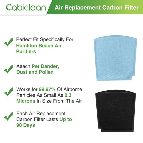 04234G Air Replacement Carbon Filters Compatible with Hamilton Beach Pet TrueAir Purifier Odor Eliminators Model 04384,04386,04532GM,04530G,04530GM & 04531GM,Compared to part #04234G (6-Pack)
