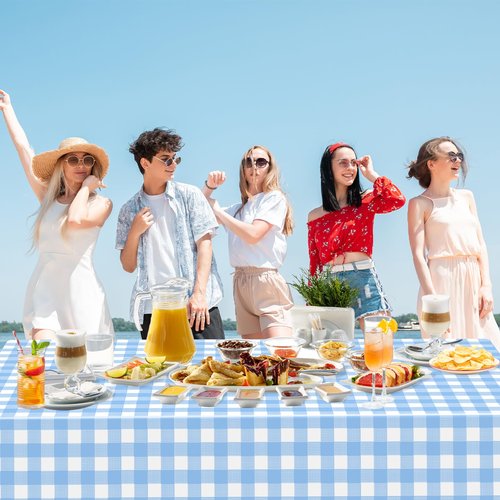 3 Pack Light Blue Gingham Tablecloth Rectangular Pale Blue and White Checkered Tablecloths Disposable Plastic Plaid Table Cover for Parties, Outdoor Picnic, Birthday, Wedding, Camping 54 × 108 Inch
