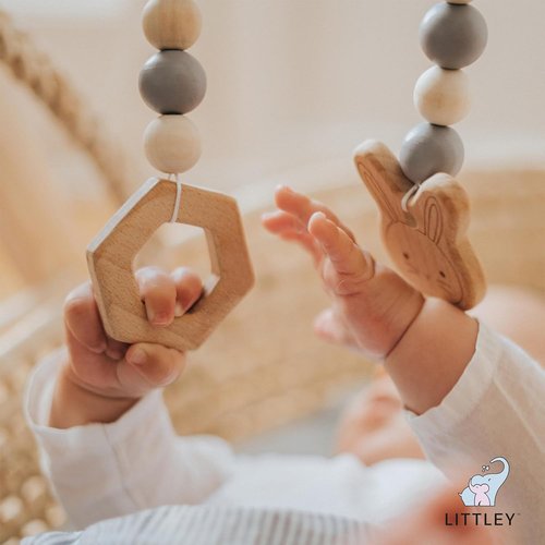 Littley Toy & Surface Cleaner | Alcohol-Free HOCl Spray for Baby Toys & High-Touch Surfaces | Fragrance-Free Formula | Gentle Cleaning for Everyday Messes | 2 oz