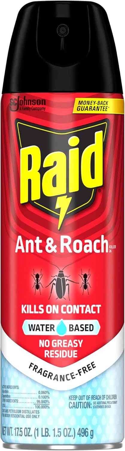 Raid Ant & Roach Bug Spray - Water-Based Insecticide Kills On Contact | 17.5 oz, No Greasy Residue