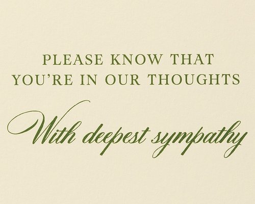 Papyrus Sympathy Card (You're In Our Thoughts)