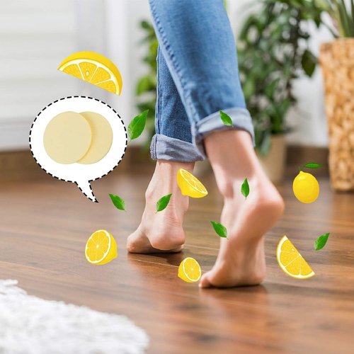 Blulu 24 Pcs Fragrance Discs Replacement Steam Mop Scent Disc Practical Fragrance Scented Pads Disc Compatible with Powerfresh and Symphony Series,Model 1940, 1806 and 1132