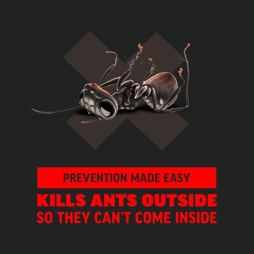 Amdro Ant Killer - Effective Outdoor Perimeter Protection | 12oz Size