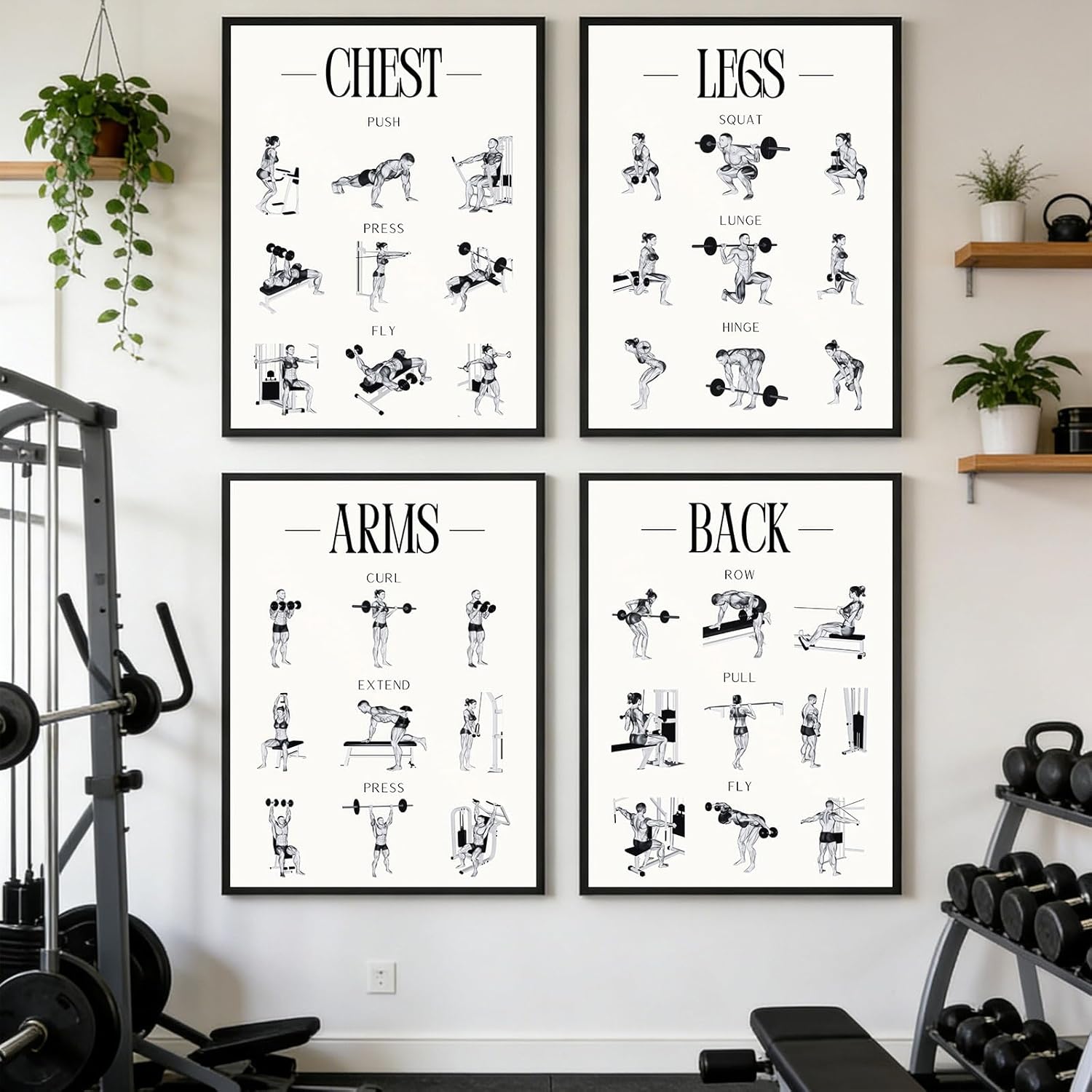 Skiennix Fitness Exercises Wall Art - Dumbbell Workout Poster for Gym & Home Decor | Strength Training