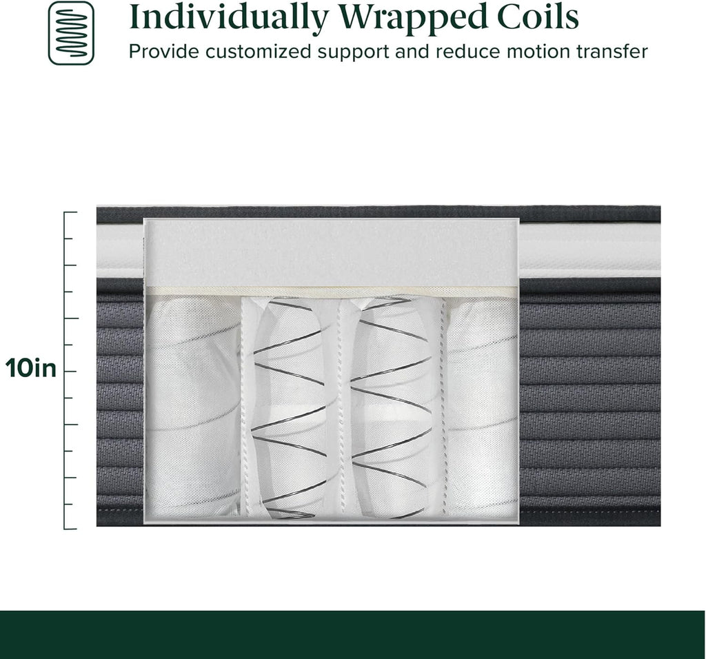 ZINUS 10 Inch True Support Hybrid Mattress - Queen Size, Medium Feel, Fiberglass Free, Motion Isolation