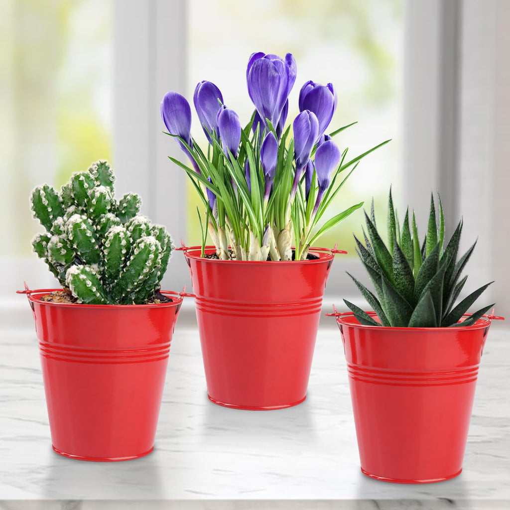 15 Pack 4 Inch Red Iron Pail, Metal Buckets with Handle, Easter Bucket,Pencil Holder and Flower Pots, Used to Carry, Store, or Even Plant, by GENHAKON.