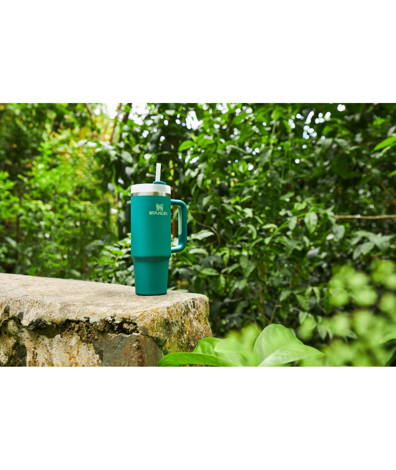 STANLEY Quencher H2.0 Tumbler with Straw 30 oz | Flowstate 3-Position Lid | Cup Holder Compatible for Travel | Insulated Stainless Steel Cup | BPA-Free | Alpine