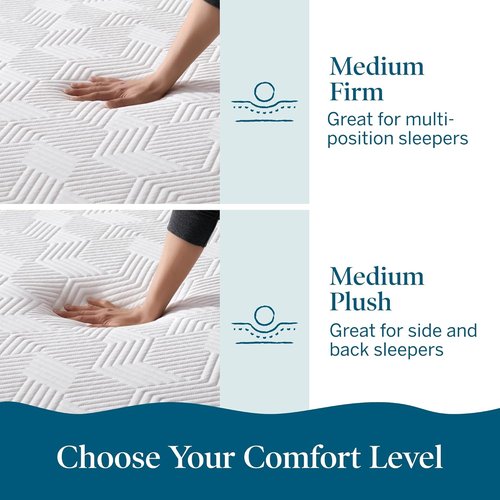 Lucid 12 Inch Memory Foam Mattress - Medium Plush Comfort - Bamboo Charcoal & Cooling Gel - Queen Size