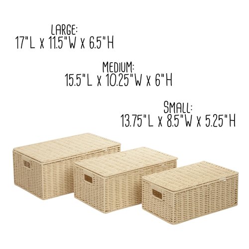 Honey-Can-Do 3-Piece Paper Rope Cord Basket Set, Natural STO-03556 Beige