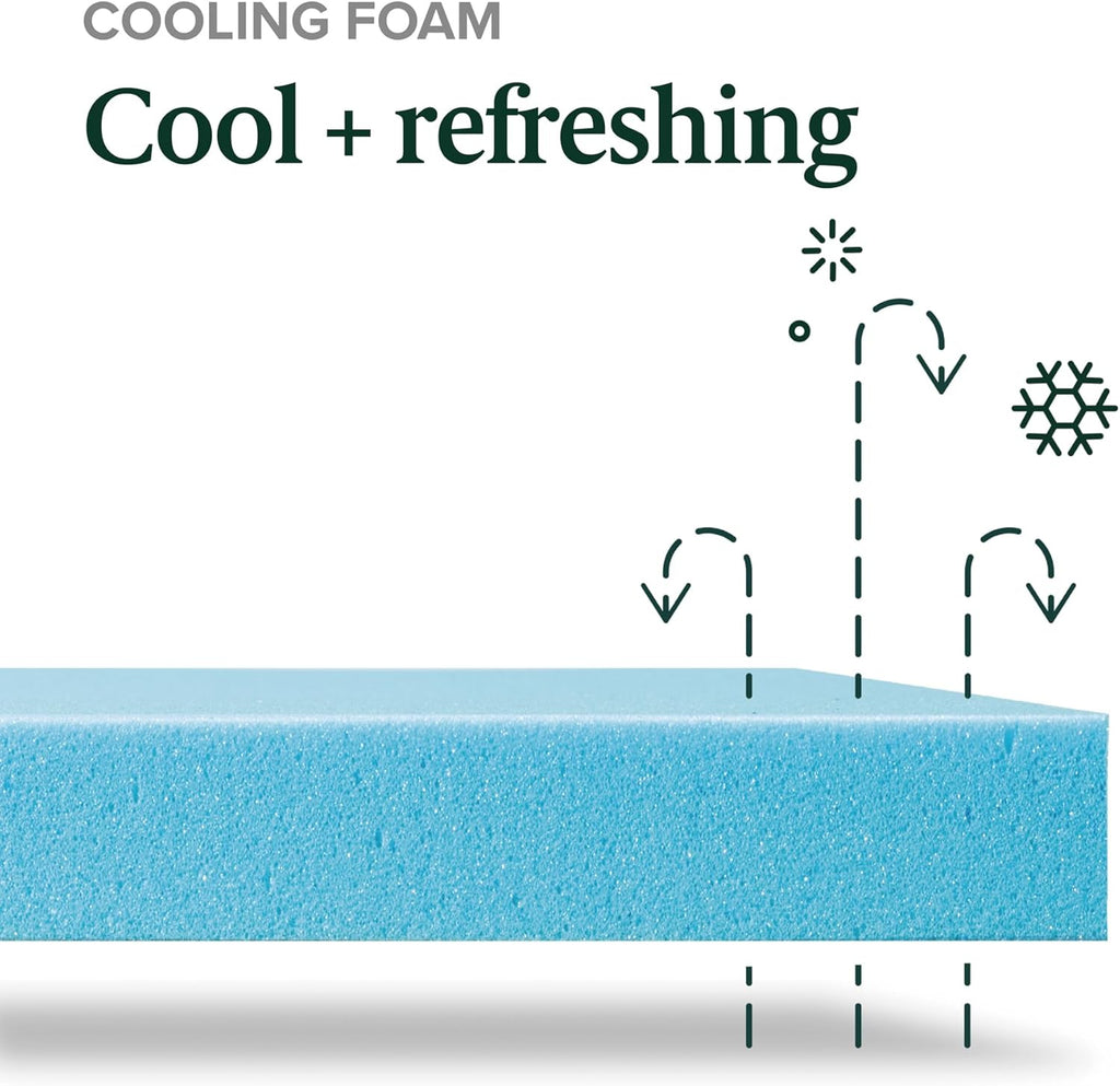 Zinus 8 Inch Green Tea Memory Foam Mattress - Twin Size, Cooling Gel, Medium Firm, Fiberglass Free