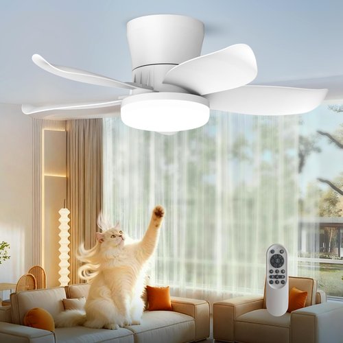 LANMEL 25 Inch White Flush Mount Ceiling Fan with Light and Remote, Low Profile Modern Ceiling Fan, 6 Speed, Reversible, 3000k-6500k Dimmable LED, Quiet DC Motor for Indoor Outdoor