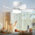 LANMEL 25 Inch White Flush Mount Ceiling Fan with Light and Remote, Low Profile Modern Ceiling Fan, 6 Speed, Reversible, 3000k-6500k Dimmable LED, Quiet DC Motor for Indoor Outdoor