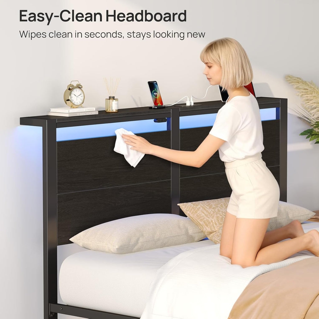 Rolanstar Queen Bed Frame - LED Headboard with Charging Station | Noise-Free Black Oak Design